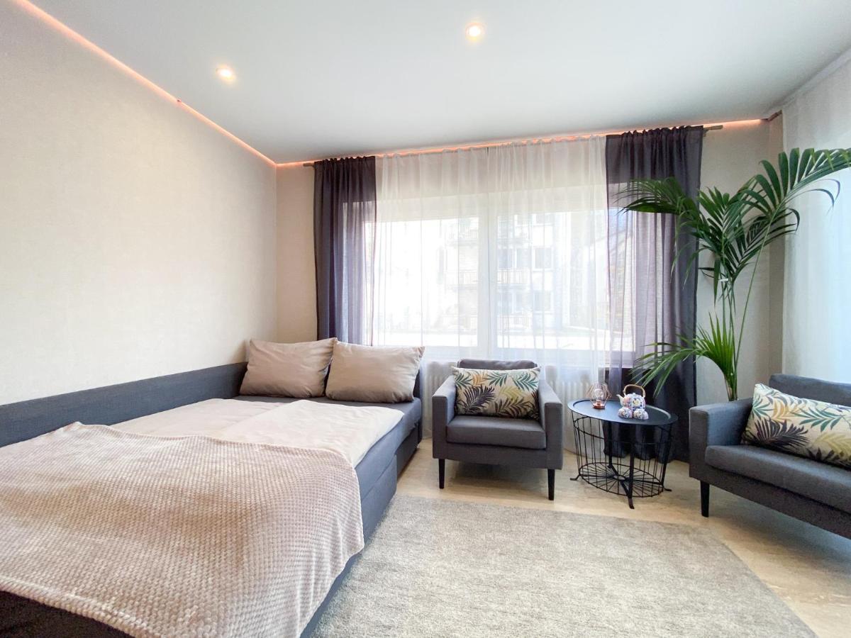 Modernes Apartment In Zentrumsnaehe Mit Eigenem Stellplatz บาเดน-บาเดน ภายนอก รูปภาพ